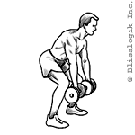 wide row dumbbell exercise for back muscles