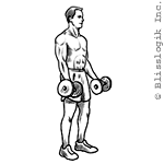 One-at-a-Time Biceps Curl Dumbbell exercises for biceps muscles