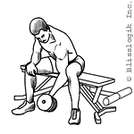 Seated Concentrated Curl Dumbbell exercises for biceps muscles