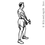 Squat Dumbbell exercises for legs muscles
