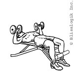 bench press dumbbell exercises for chest