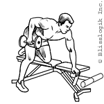 Triceps Kickback Dumbbell exercises for triceps muscles
