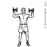 shoulder press dumbbell exercises for shoulders