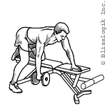kneeling one arm row dumbbell exercise for back muscles
