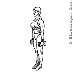 biceps curl dumbbell exercises for biceps