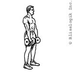 front raise dumbbell exercises for shoulders