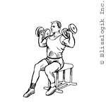 seated shoulder press dumbbell exercises for shoulders