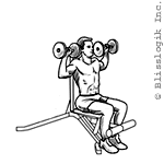 back supported shoulder press dumbbell exercises for shoulders