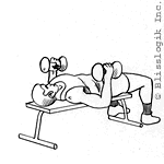 triceps bench press dumbbell exercises for triceps